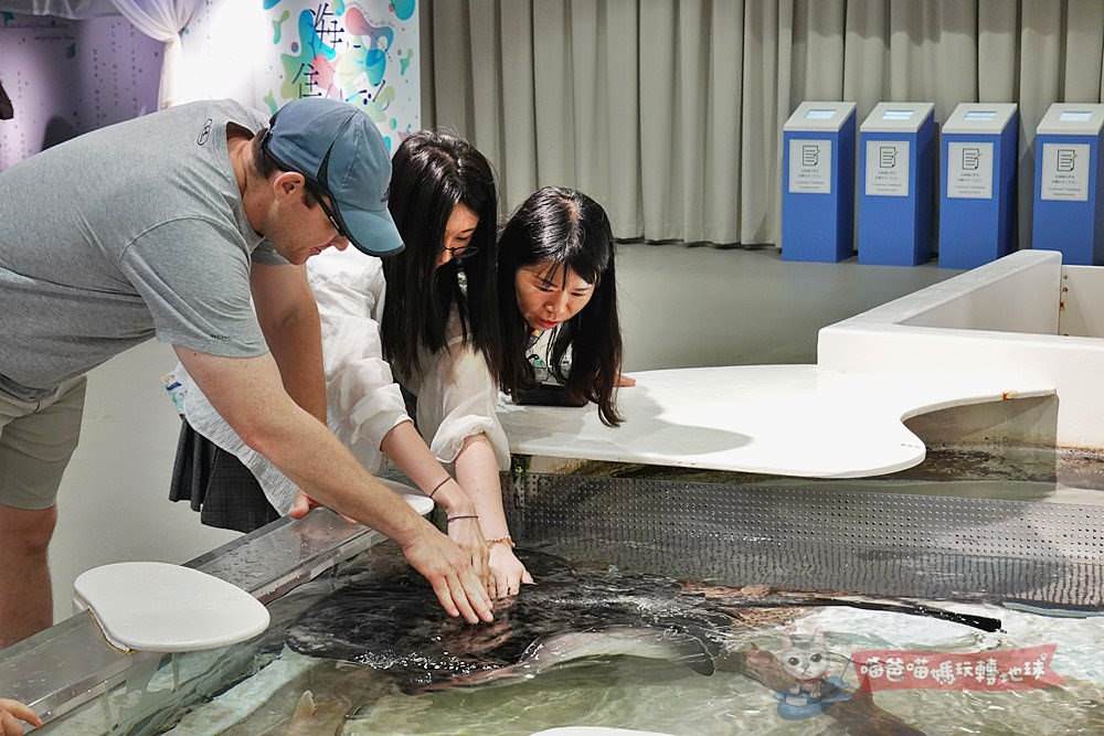 大阪海遊館一日遊 與企鵝 魟魚互動在大阪海遊館展開一場海洋美好約會