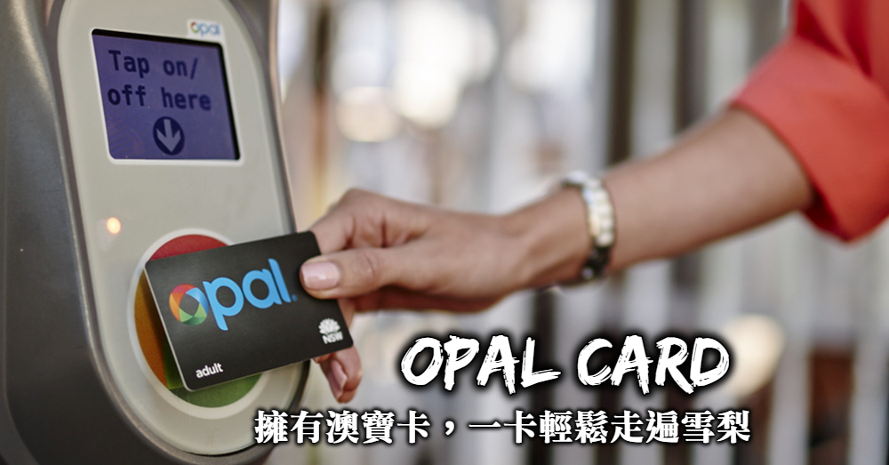 【雪梨交通】Opal card、感應信用卡搭乘優惠與大眾運輸轉乘攻略