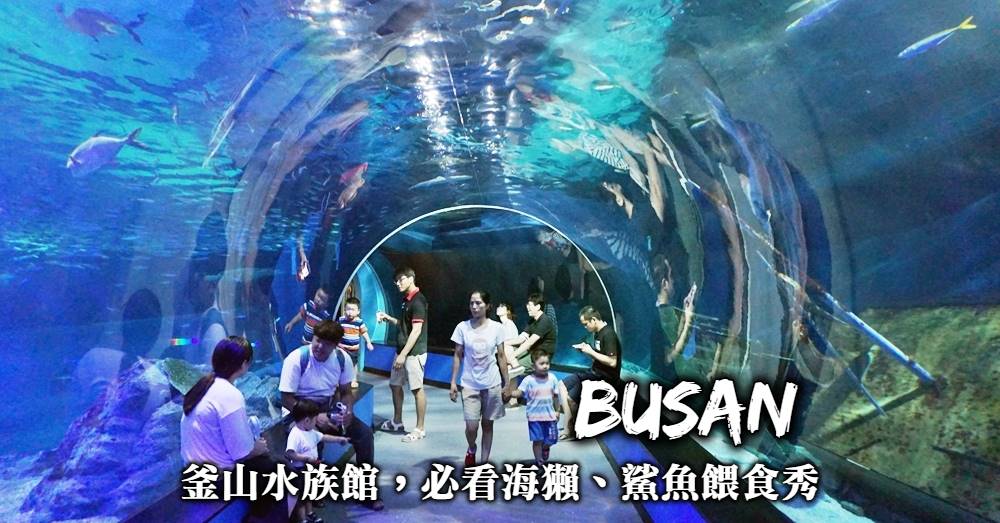 釜山-SEA LIFE水族館，推薦表演、折扣門票、鯊魚餵食秀，訪韓國最大水族館！