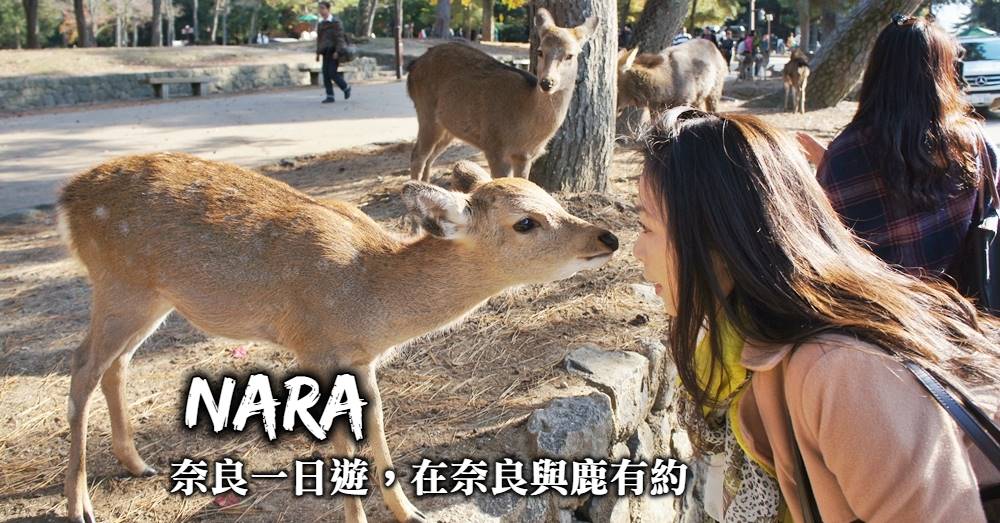奈良一日遊-景點推薦、交通行程規劃，選張適合交通票券前往奈良與小鹿有約！