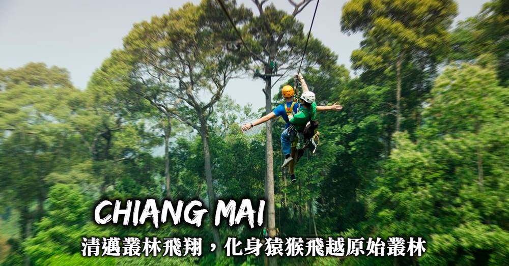 【清邁必玩】叢林飛索Zipline：最刺激體驗，變身猿猴飛越叢林