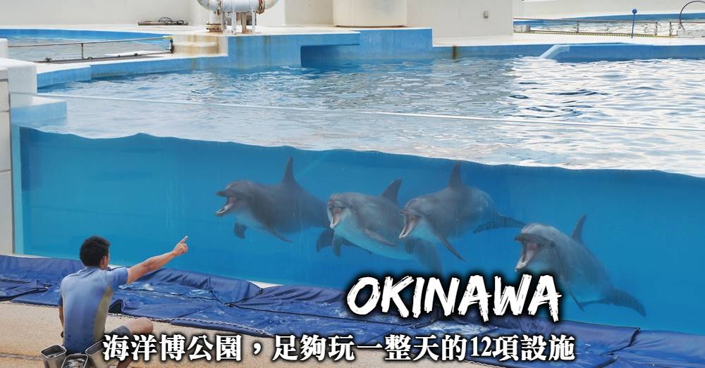 【沖繩海洋博公園】12項必玩設施，這裡絕非只有水族館這麼簡單
