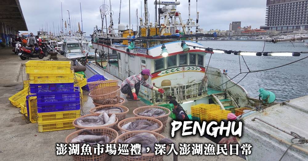 【澎湖魚市場】佛心價100元，讓達人帶路深入澎湖漁民的生活日常