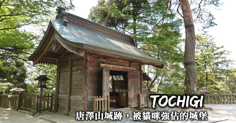栃木景點-唐澤山城跡，日本國指定遺跡，一個被大量貓咪強行佔據的遺跡城堡！