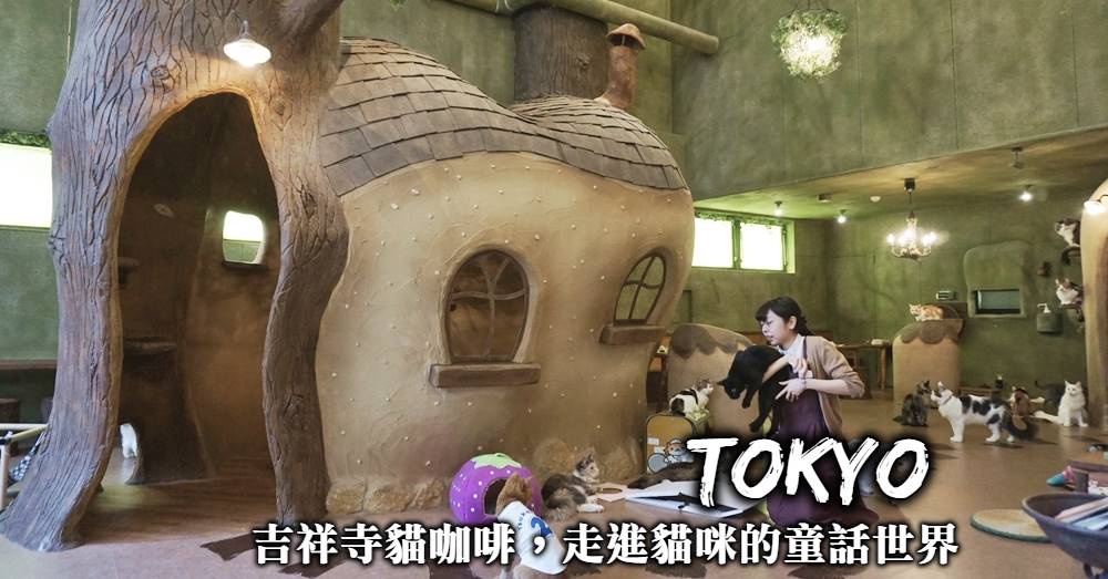 【東京貓咖啡】吉祥寺不思議貓之森，被可愛貓咪圍繞的童話世界