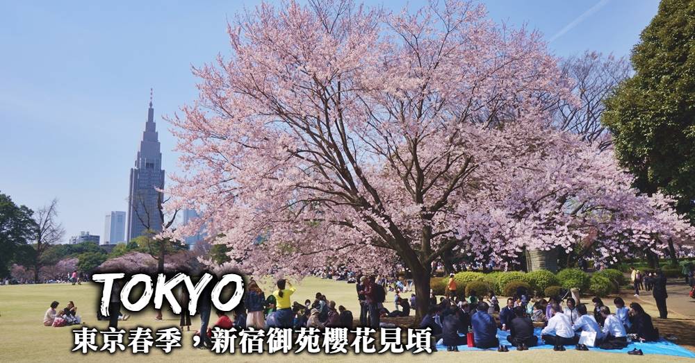 【東京賞櫻】新宿御苑：最大國民公園、四季不同風貌的賞櫻名所