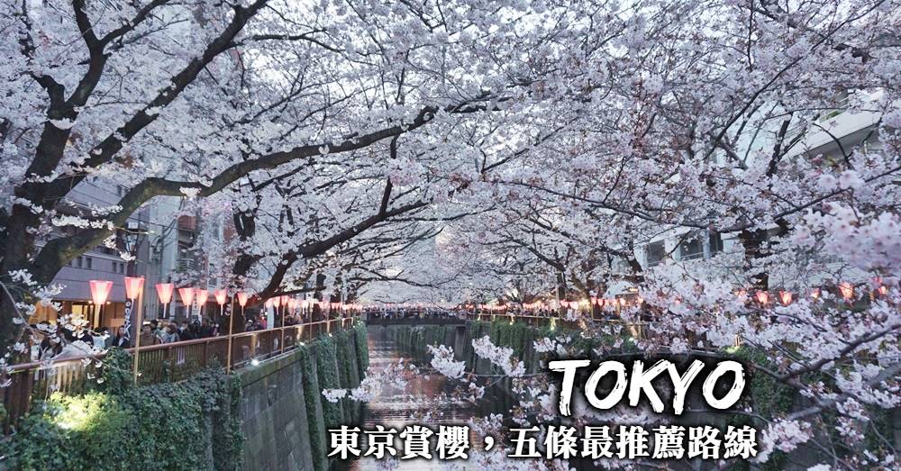 【東京賞櫻行程規劃】5條推薦路線，一次看遍東京各大櫻花名所