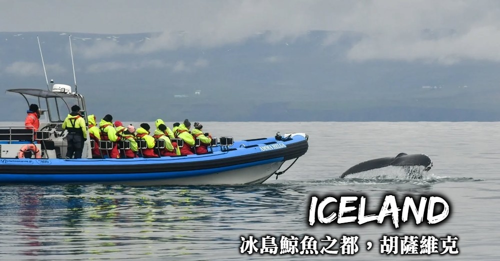 【冰島賞鯨】胡薩維克Husavik：冰島鯨魚之都的賞鯨船活動怎麼選