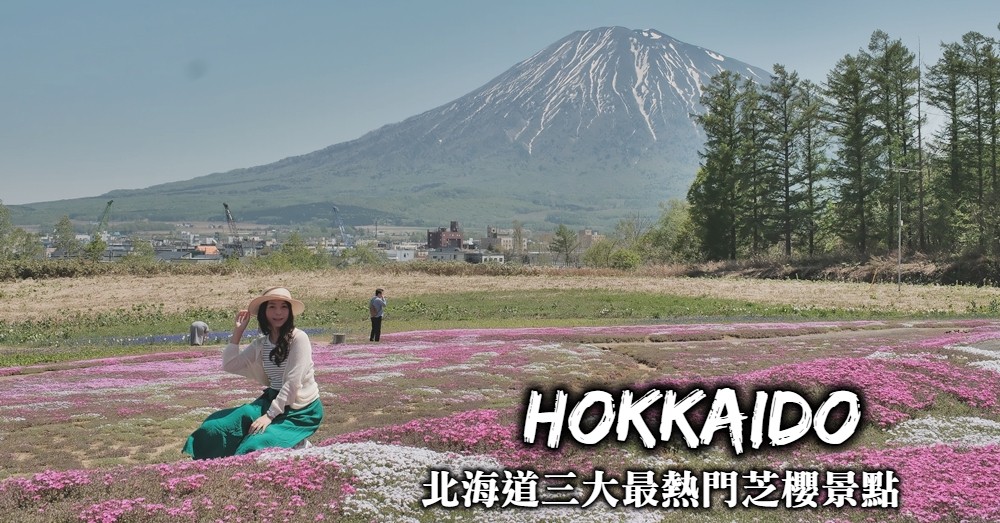 北海道芝櫻