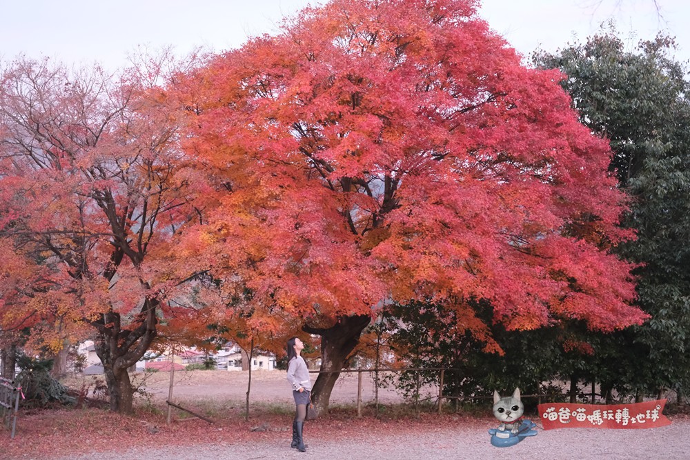 大石公園